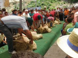 phoca_thumb_l_fotosnoviembre2012 2082